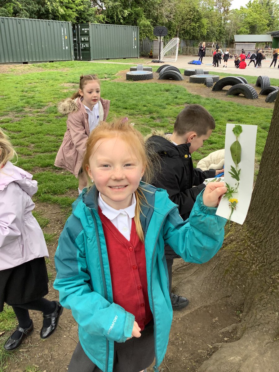 1A were scientists this afternoon and answered our big question “What are the parts of a plant”. We went outside and created a nature stick of the different parts of plants found on the school grounds. We then labelled those parts in our books #Scientists #excellence