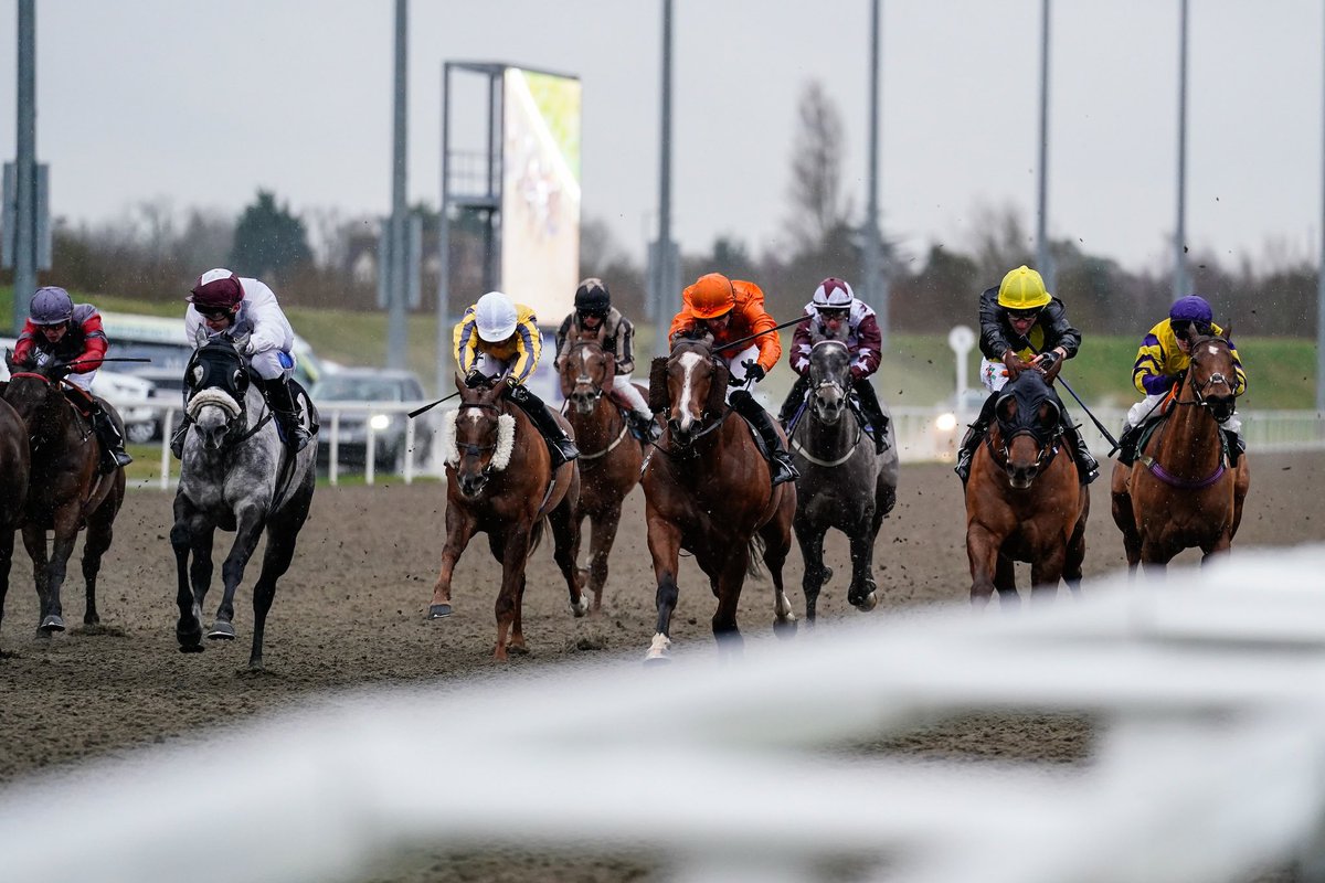 We are racing tomorrow for our final fixture of the month with six races on the card 🏇 Gates open at 4:30pm, with the first race kicking off at 6:30pm. Secure your tickets at chelmsfordcityracecourse.com