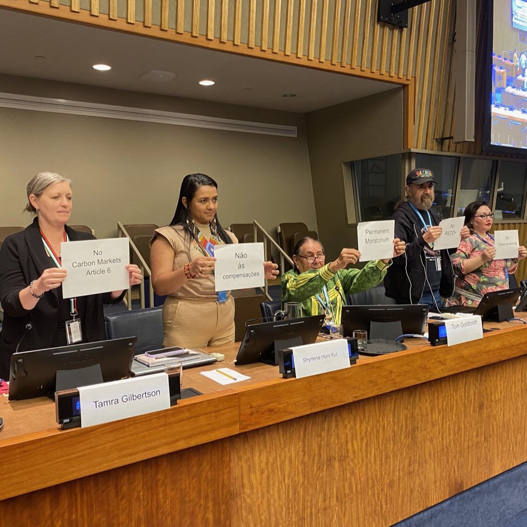 3️⃣ & 4️⃣ Learning more about the profound work of Indigneous-led organizations that are denouncing false climate solutions that curb Indigenous Peoples’ rights, and demanding that Human Rights are at the center of the green transition - notably the @SIRGECoalition, @IIWF and the