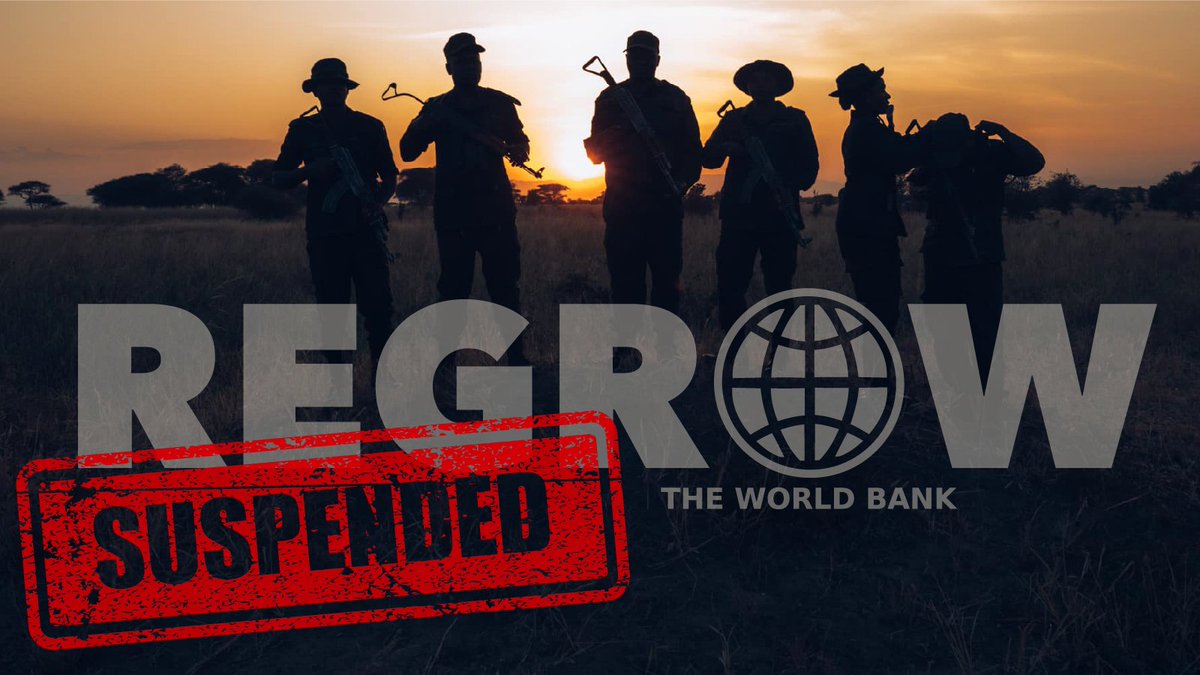 CAMPAIGN VICTORY! After a year of advocacy – incl. complaint to @InspectionPanel – @WorldBank suspends financing for REGROW project in #Tanzania with immediate effect! The $150 ml project was to “develop” tourism – but exposed by @oak_institute as financing violence by @tzparks…