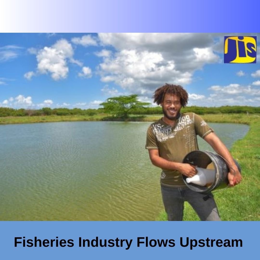 At this morning’s Post Cabinet Press Briefing- Minister Floyd Green highlighted the success of the local fisheries industry. In 2023, the fisheries sector contributed US$160 million to the local economy and has seen a 28% increase in production overall.