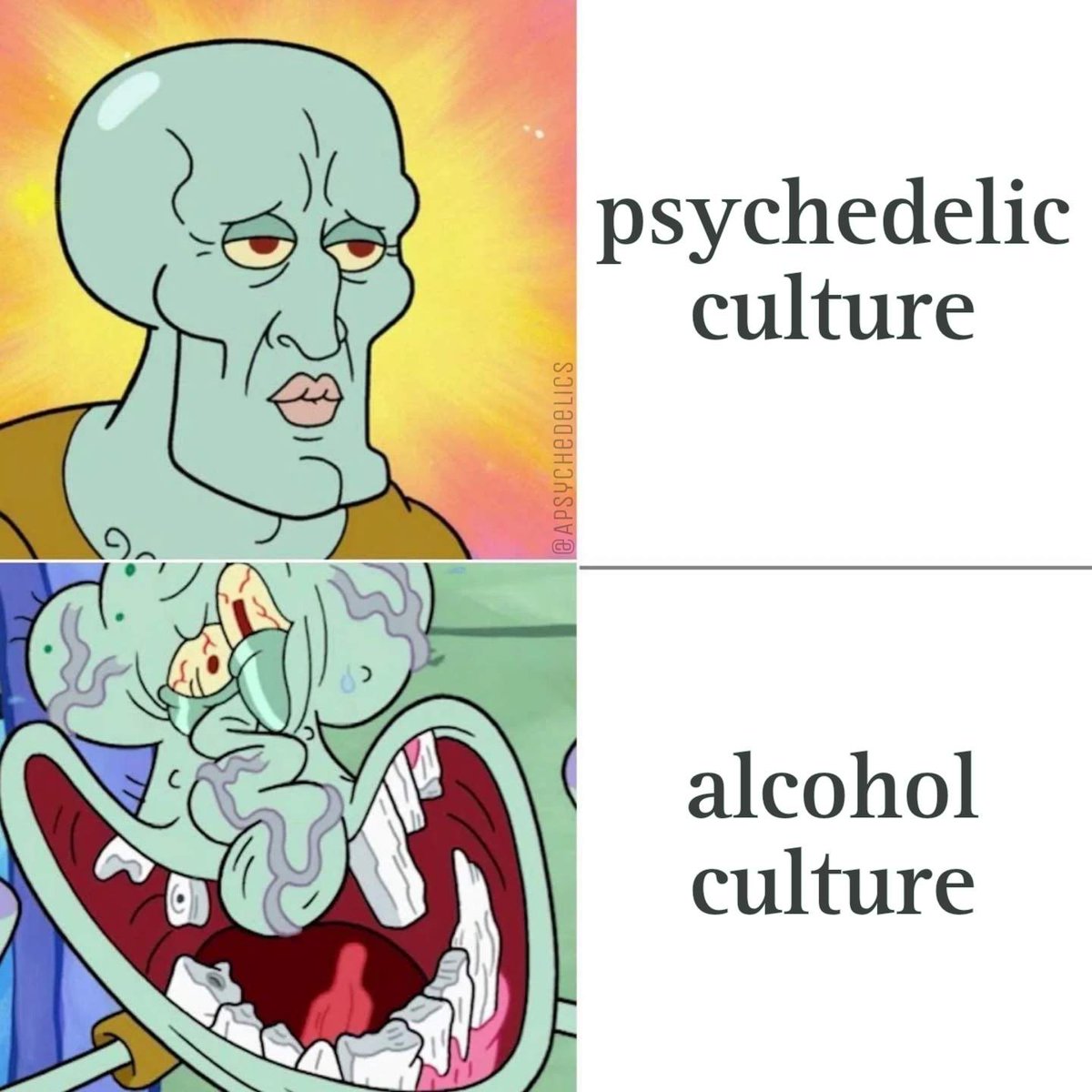 Psychedelic culture vs Alcohol culture 🖖👽