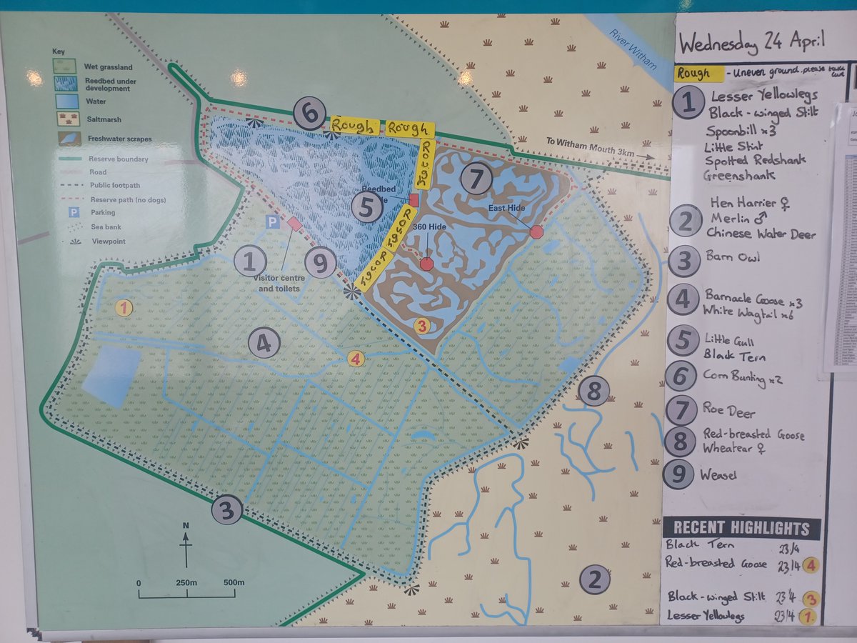 RSPBFrampton tweet picture