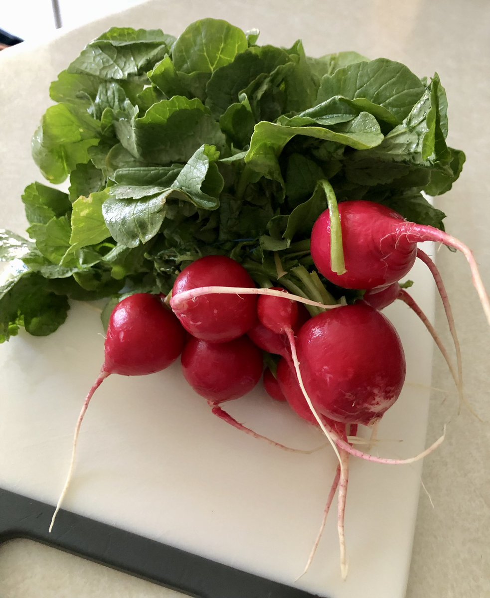 🍃When you buy radishes don’t throw away the greens They have vitamins A, B, C & K Calcium, potassium & iron too Toss them into a salad, soup or add them to a green smoothie #nutrition #wfpb #plantbased