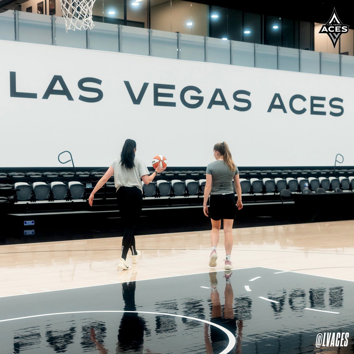 Las Vegas Aces tweet media