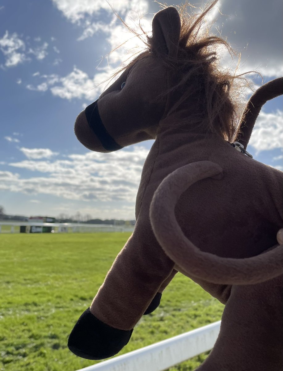 He won!!! 😂😂🎉🎉🐴🐴what a day . @PerthRacecourse 😂