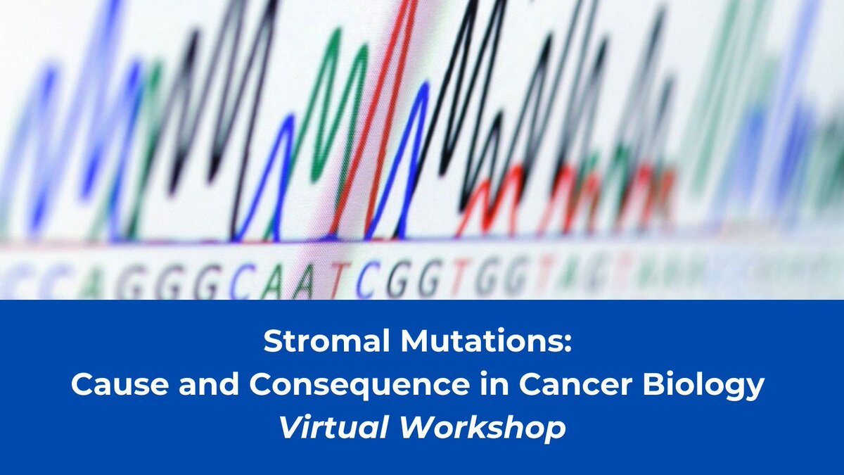 DYK that on May 2 & 3 there will be an @theNCI Virtual Workshop that will bring together tumor-stromal biologists and technology experts to discuss the cause and consequence of stromal mutations in #CancerBiology? Learn more and register: event.roseliassociates.com/nci-dcb-stroma…. #SMC3B