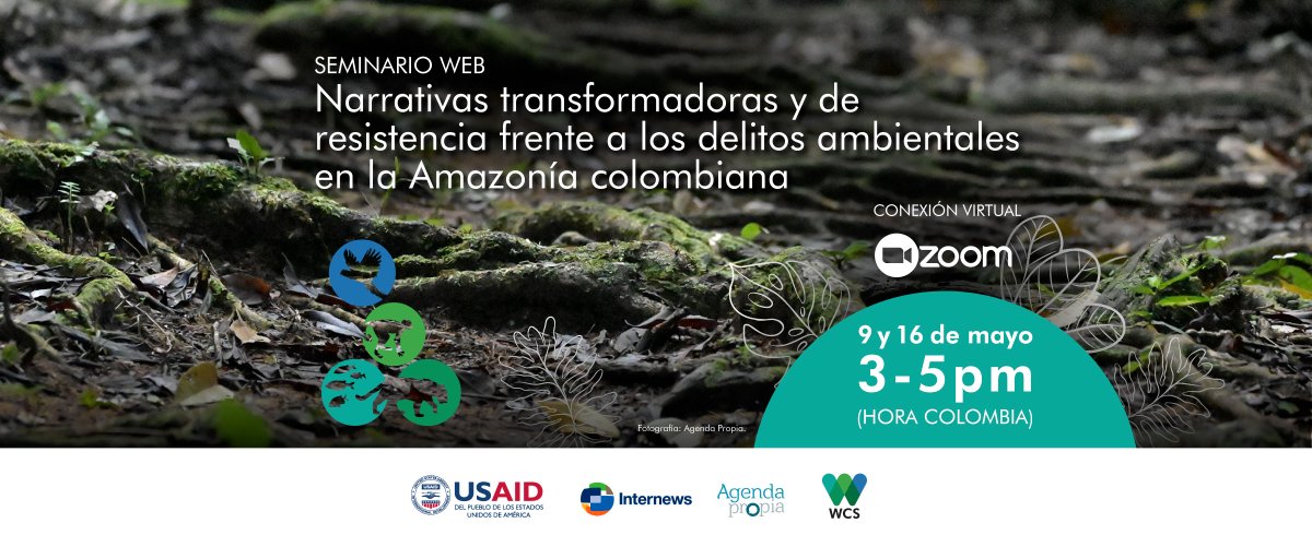 🍃¿Qué agenda editorial necesita la #CuencaAmazónica 🇨🇴🇵🇪🇪🇨? 📢 Inscríbete al Seminario web #NarrativasTransformadorasYDeResistencia Más información, aquí: 📲 bit.ly/SeminarioNarra… @USAID_Peru @WCSColombia @Internews @OPIAC_Amazonia #ConservandoJuntos #AREP #Oportunidad