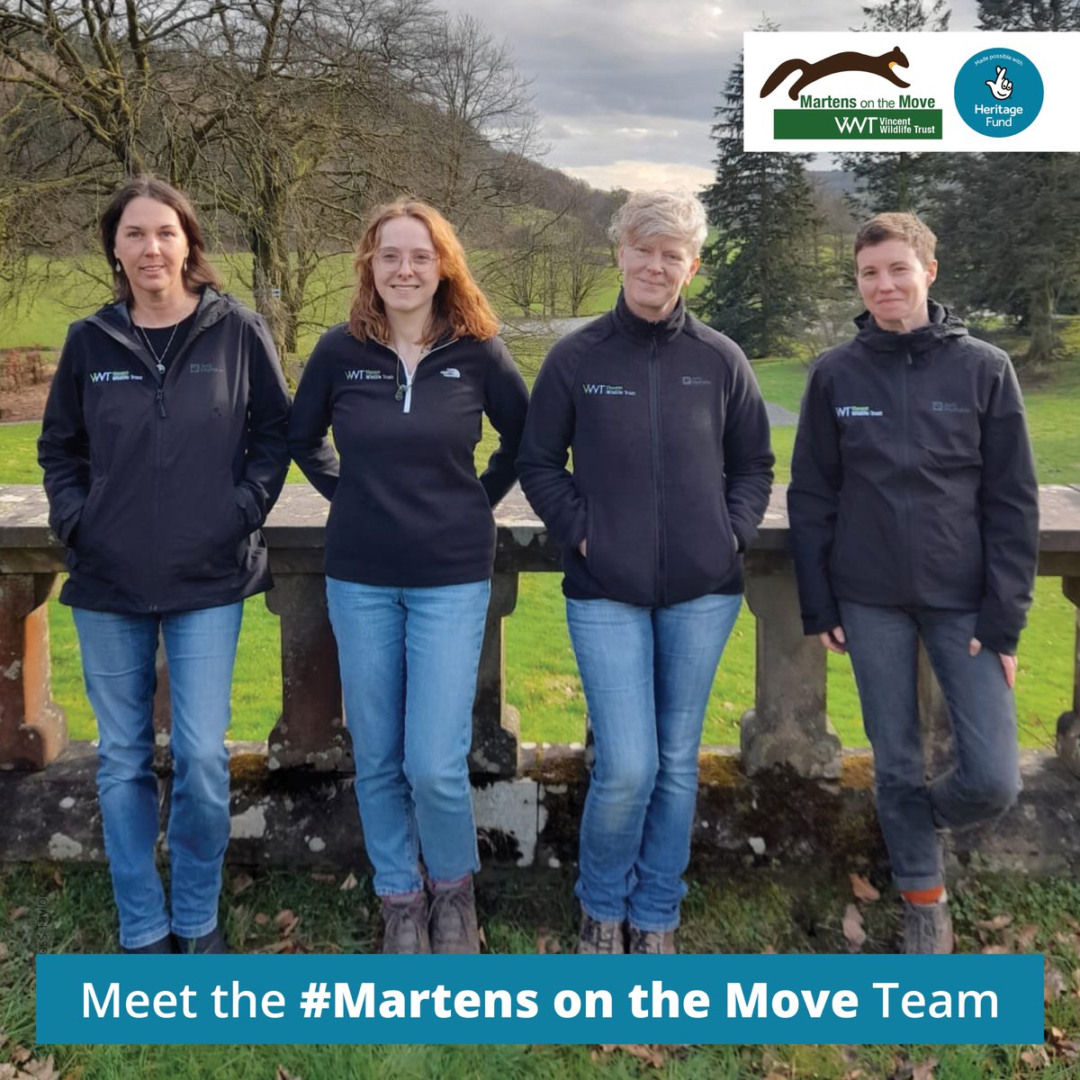 Welcome to #MartensOnTheMove Team (l-r) Dr Stephanie Johnstone, Project Manager; Rowie Burcham, Comms+Engagement Officer; Victoria Chanin, Project Officer+Lucy Nord, Project Officer – all excited to work with vols+communities to help pine martens thrive in Britain @HeritageFundUK