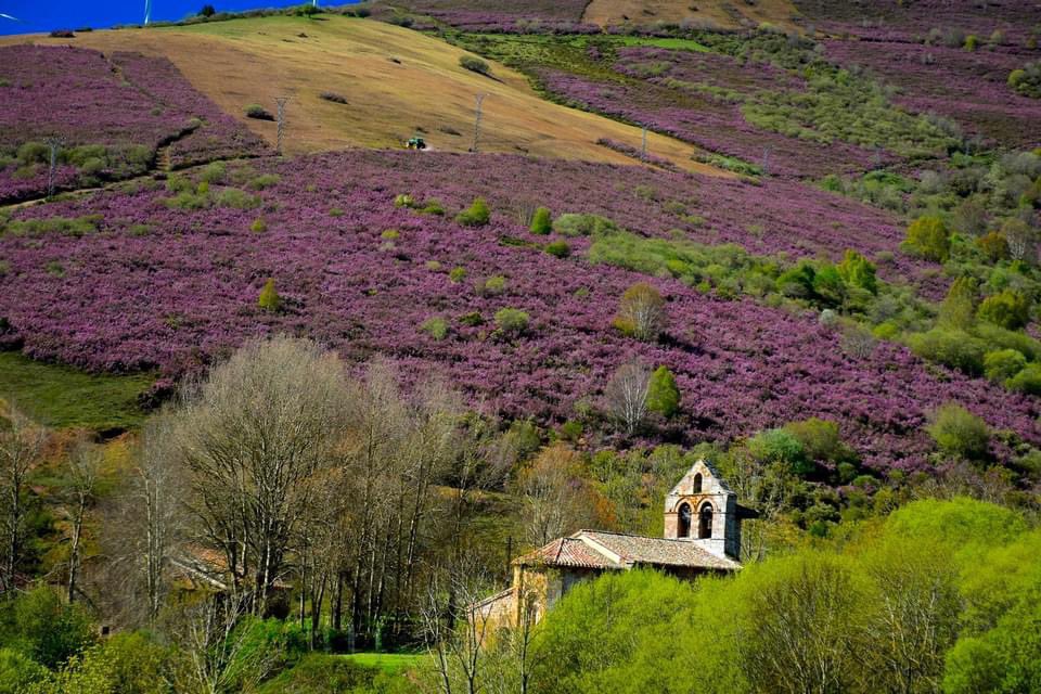 valrural's tweet photo. Destrozo del paisaje le sale gratis al pedaneo de Valberzoso ( Palencia)y subvencionado. https://t.co/pYMJkuq7ik