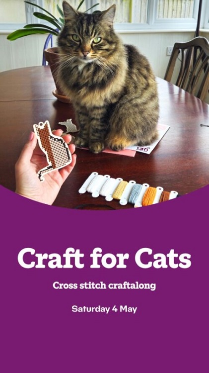 There's still time to join #CraftForCats on 4 May to cross stitch your own #Cat crew of wooden decorations. Sign up today at cats.org.uk/crossstitchcra… A minimum of £10 from each kit goes to fund our vital work making a better life for #cats 😻