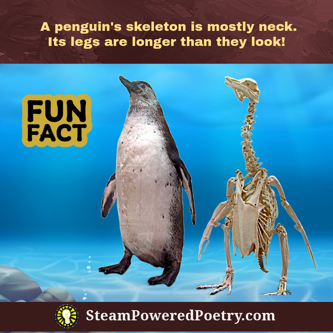 Good morning, Penguin Lovers! Have you ever wondered how penguins and camels are the same? No? Well, this humorous #stemforkids #video makes some interesting comparisons! 👉steampoweredpoetry.com/bird-and-beast……… #WorldPenguinDay #penguin #camel #mammals #birds #STEMeducation #STEM #teacher