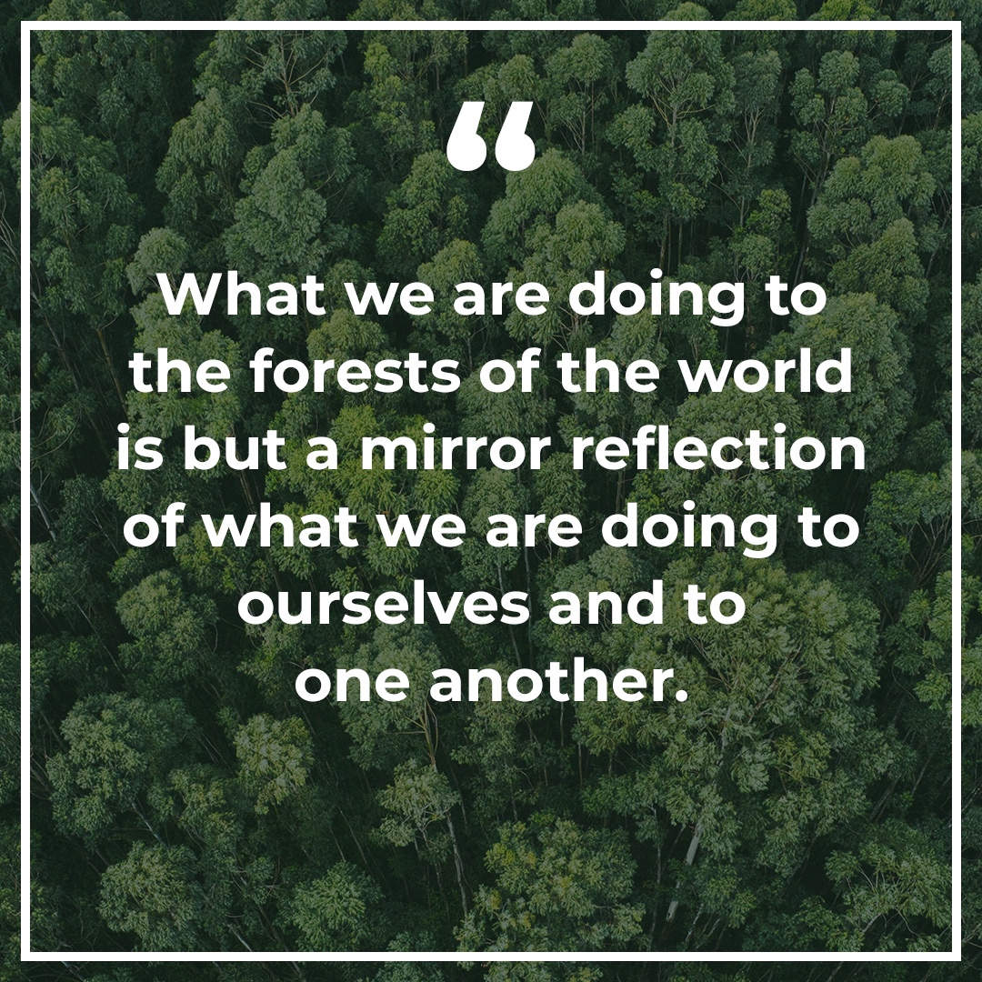 climateaction_1's tweet photo. As we destroy forests through deforestation and degradation, we ultimately harm ourselves and future generations. Let's recognize the vital role forests play in our lives, from providing oxygen to regulating the climate, and pledge to protect and preserve them. 💚🌳 https://t.co/FCOA5fJEsj