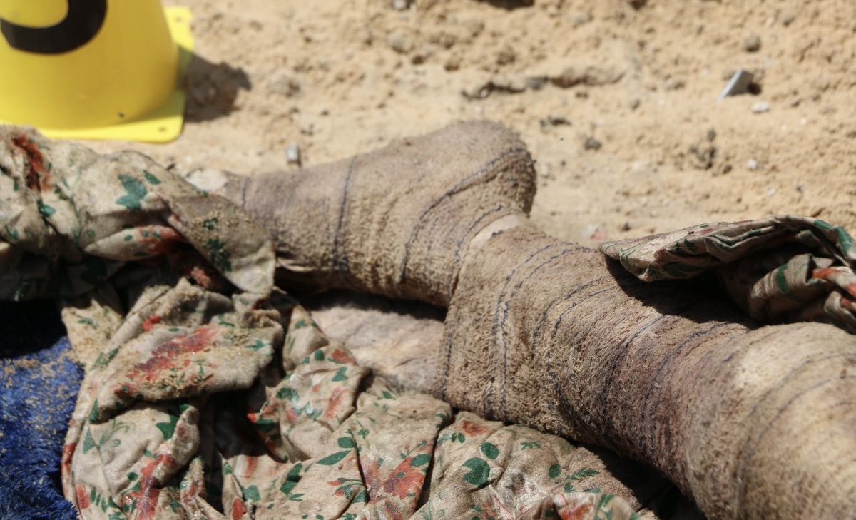 rulajebreal's tweet photo. Its alarming that coverage of protests dominates news, while discovery of mass graves is ignored…all distracting from use of US’ weapons to slaughter Palestinians: Mass executions of children, patients w casts/caterers,&amp; doctors wearing scrubs, stripped naked w their hands tied. https://t.co/MQdLmlKNlJ