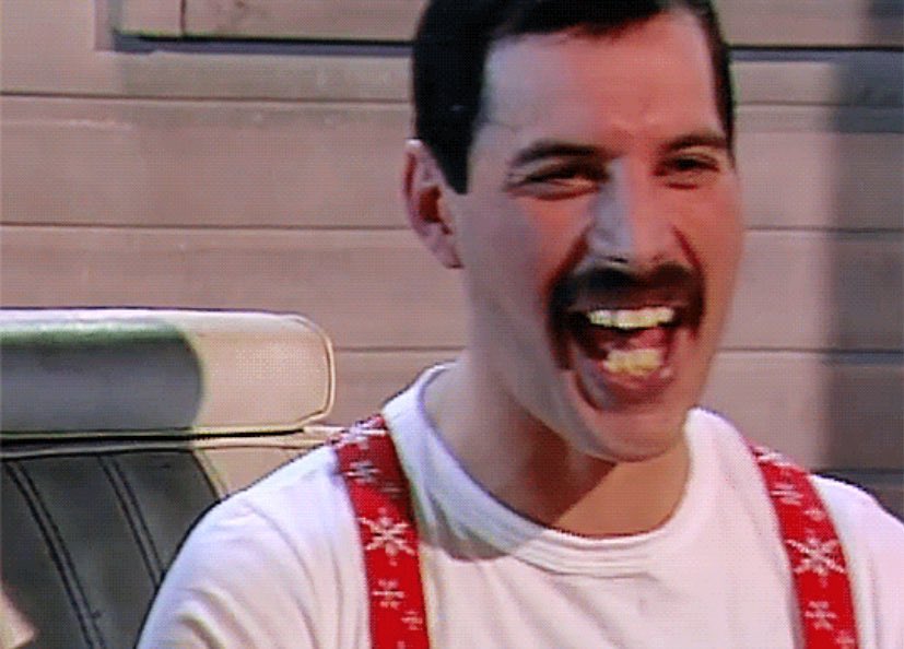 freddiemajestic's tweet photo. my heart https://t.co/z4CGUAjeN4