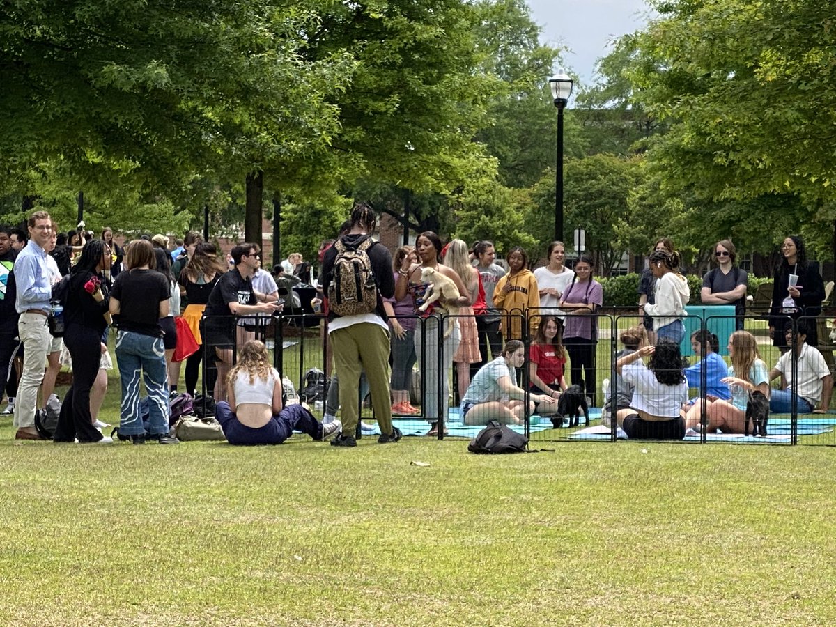 StudyReligion's tweet photo. Yes. Baby goats now over between Woods Hall &amp; the student center. #stressrelief @UofAlabama https://t.co/y5EEqD0ETD