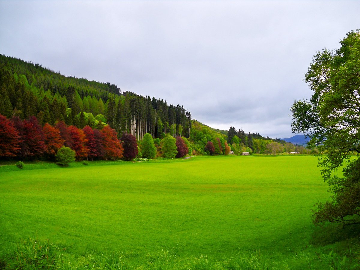 In Scotland, two funding schemes are currently running for conservation and Natural Capital, providing multiple options for those with a vision for their land. The next deadline for competitive funding is tomorrow (25th April) ⚠ 📲 loom.ly/FyxMwro @Galbraith_Rural