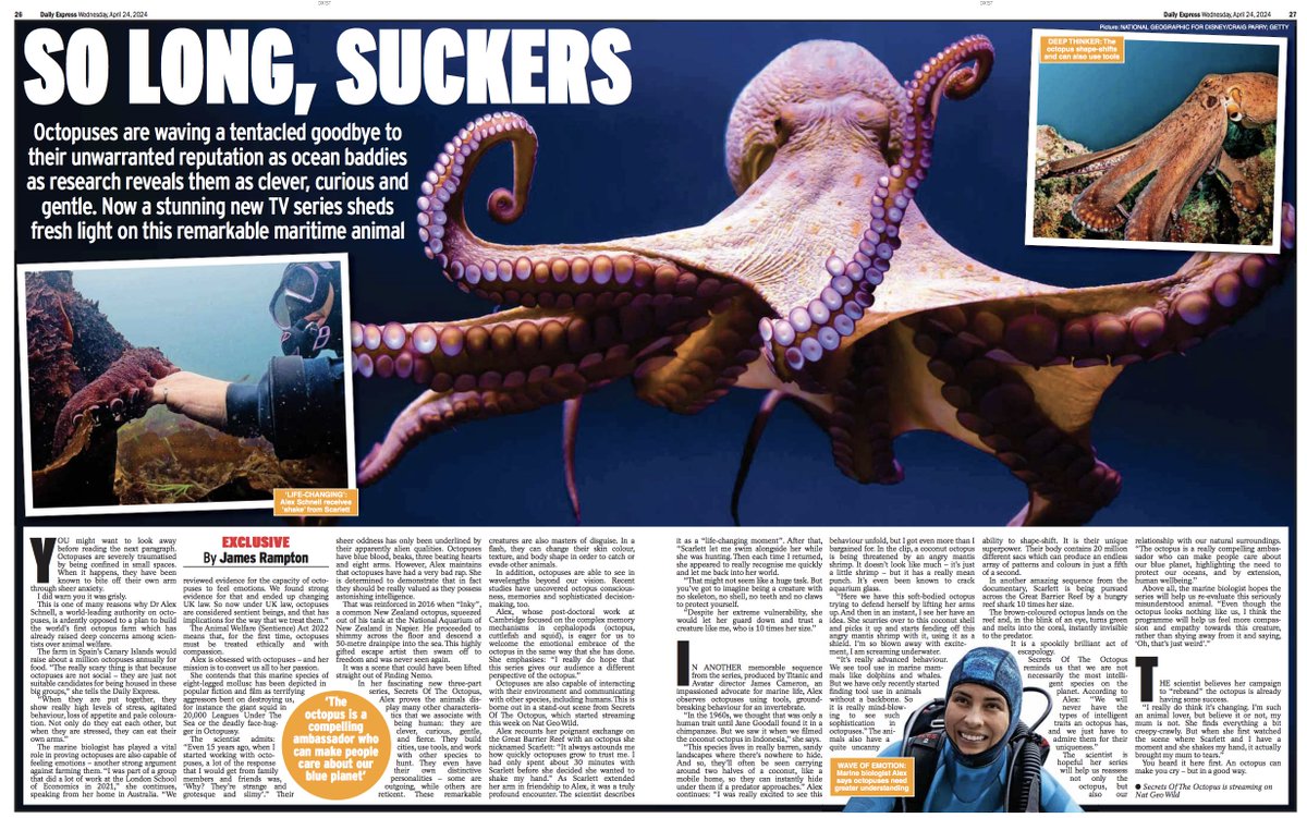 I don't imagine this headline's original, but it made me happy. From #ExpressFeatures today via James Rampton and @natgeowild ... where Secrets of the Octopus is currently streaming