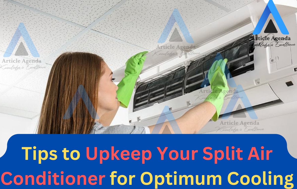 articleagenda's tweet image. Tips to Upkeep Your Split Air Conditioner for Optimum Cooling
#Tips #to #Upkeep #Your #Split #Air #Conditioner #for #Optimum #Cooling
#ajmlafarooq #writesfocus #blog #socialmediastrategy
Learn more visit given ink
articleagenda.com/tips-to-upkeep…