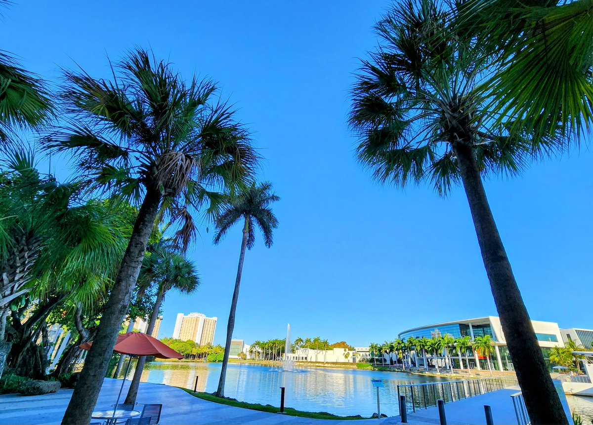 A beautiful early morning to kick off the Resilience in the Built and Natural Environments Symposium today!  Looking forward to all of the speakers, panels, discussions, and networking! 
resilience.miami.edu/news-and-event…