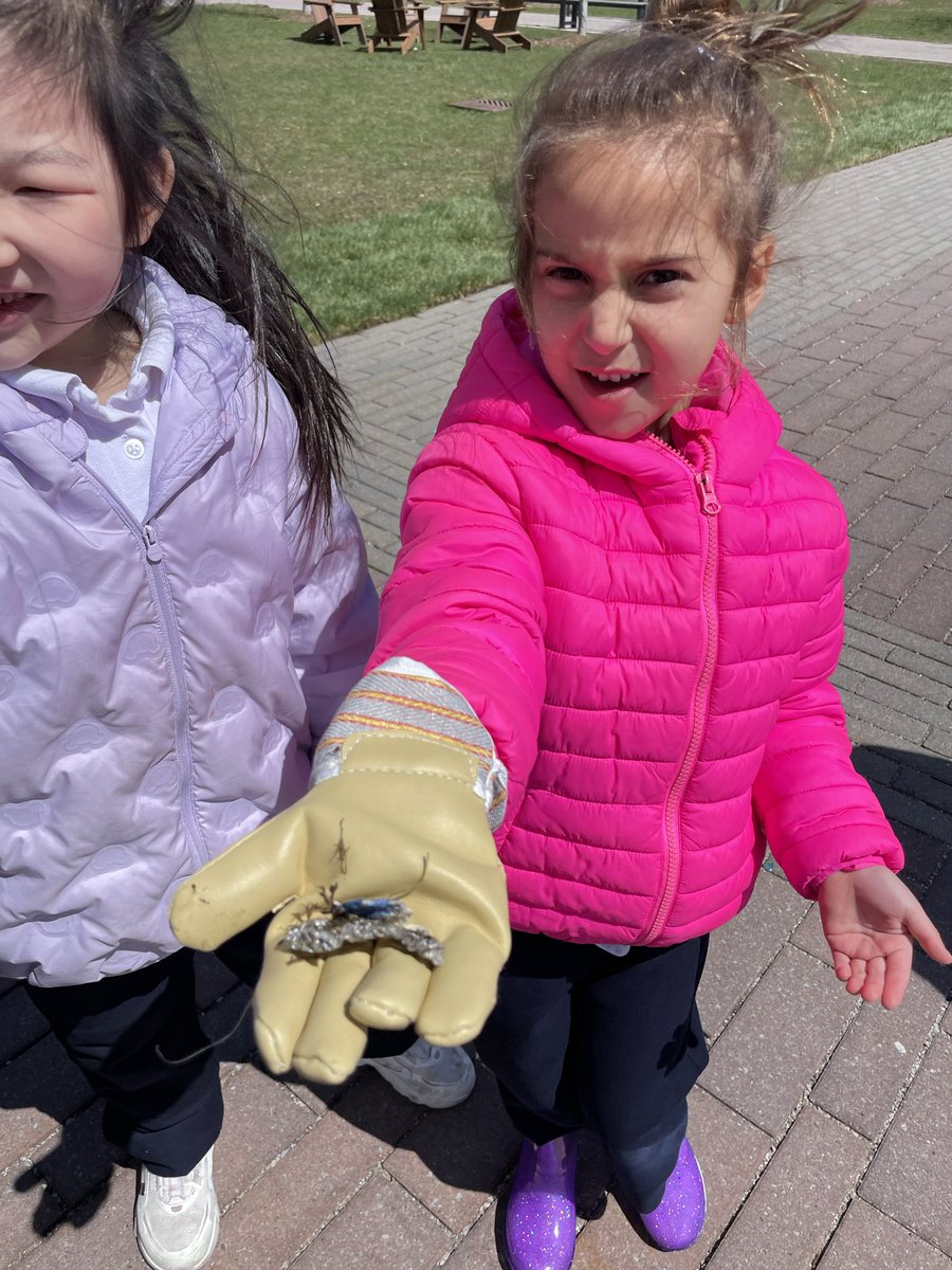 HTS campus clean-up.🌍♻️🗑️ #EarthWeek #HawkPride #BetterTogether❤️ @HTS_MsRanieri @HTSRichmondHill