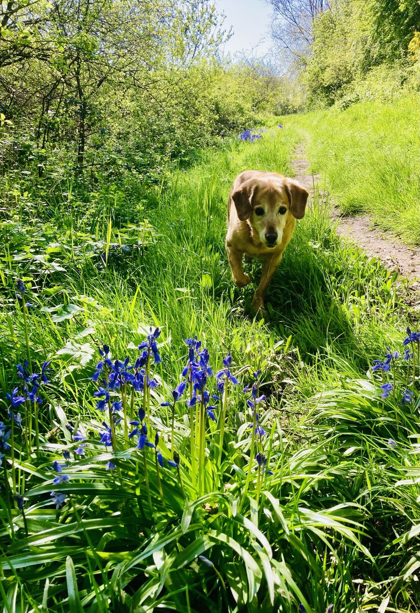 Penny Fray tweet media