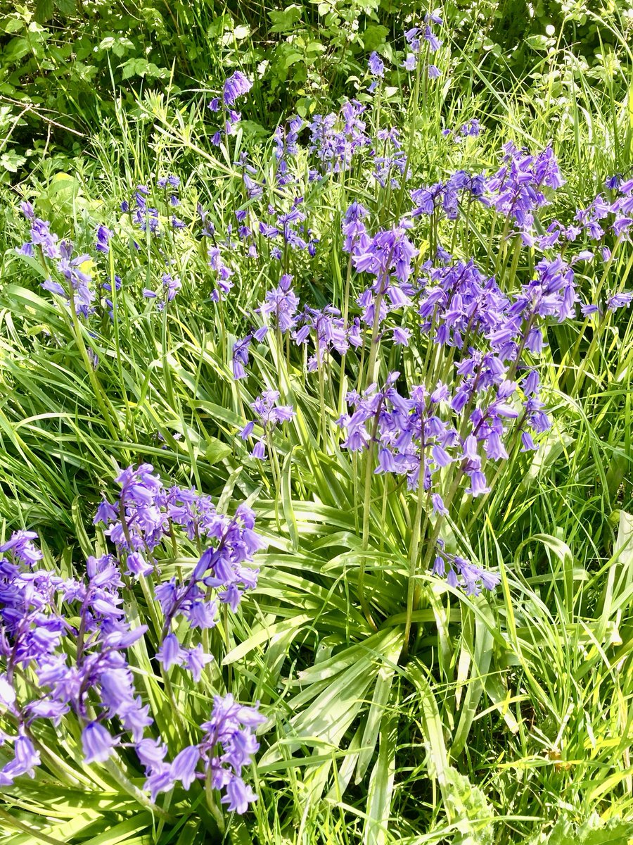 Penny Fray tweet media