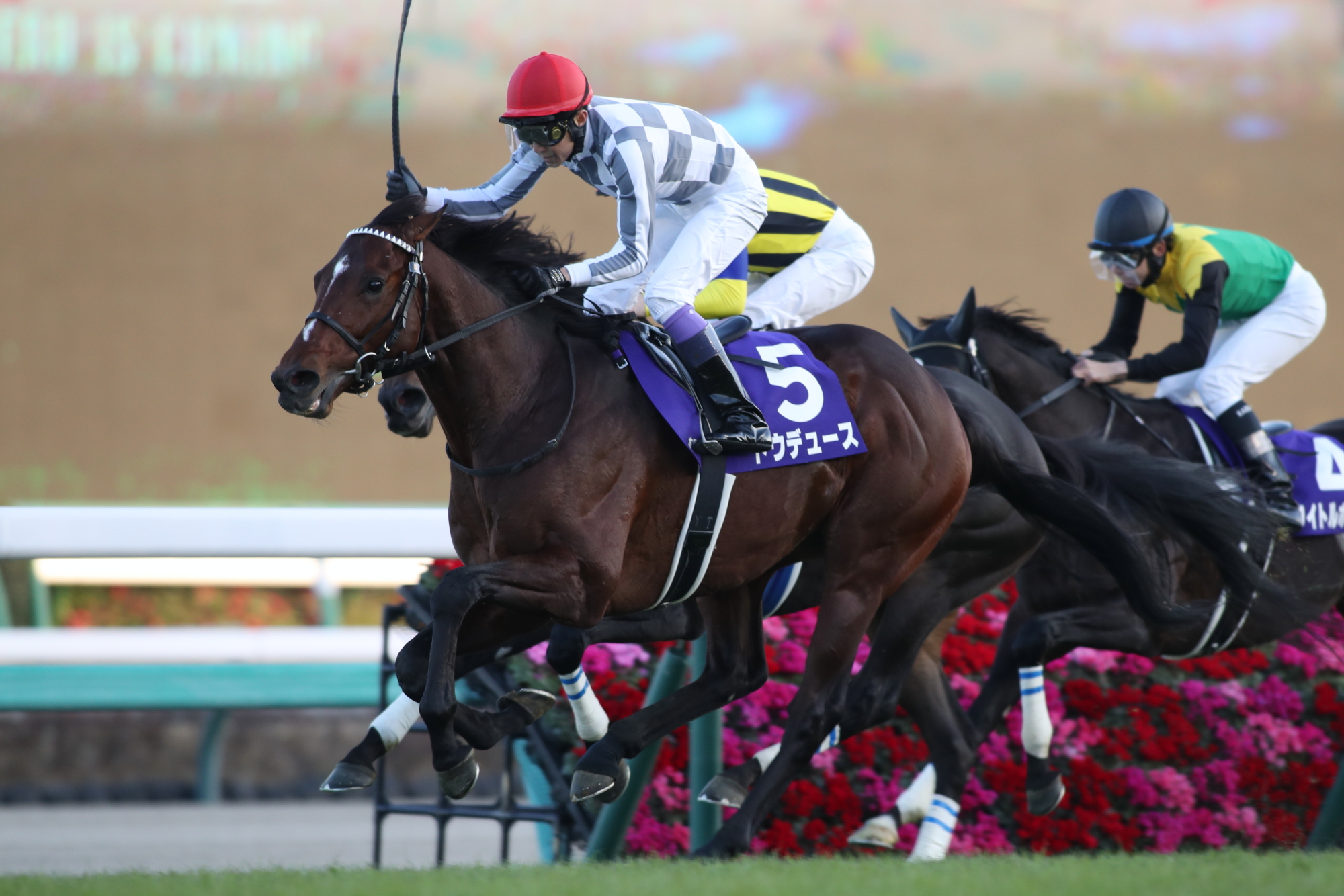 【現地的中】単複応援馬券2022年 日本ダービー ドウデュース3番人気1着！武豊 現地的中】単複応援馬券2022年 日本ダービー ドウデュース3番