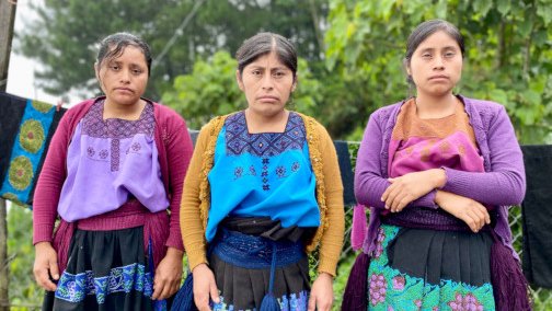 revstul's tweet photo. #Política Lee: "Liderazgo, empoderamiento y participación política de las mujeres indígenas", en Revista Stultifera. 

Visita: https://t.co/XdSiRxGfi0

#AcademicResourceIndex #ScienceGate #Latindex #CienciaAbierta https://t.co/iL4G1lgh3Q