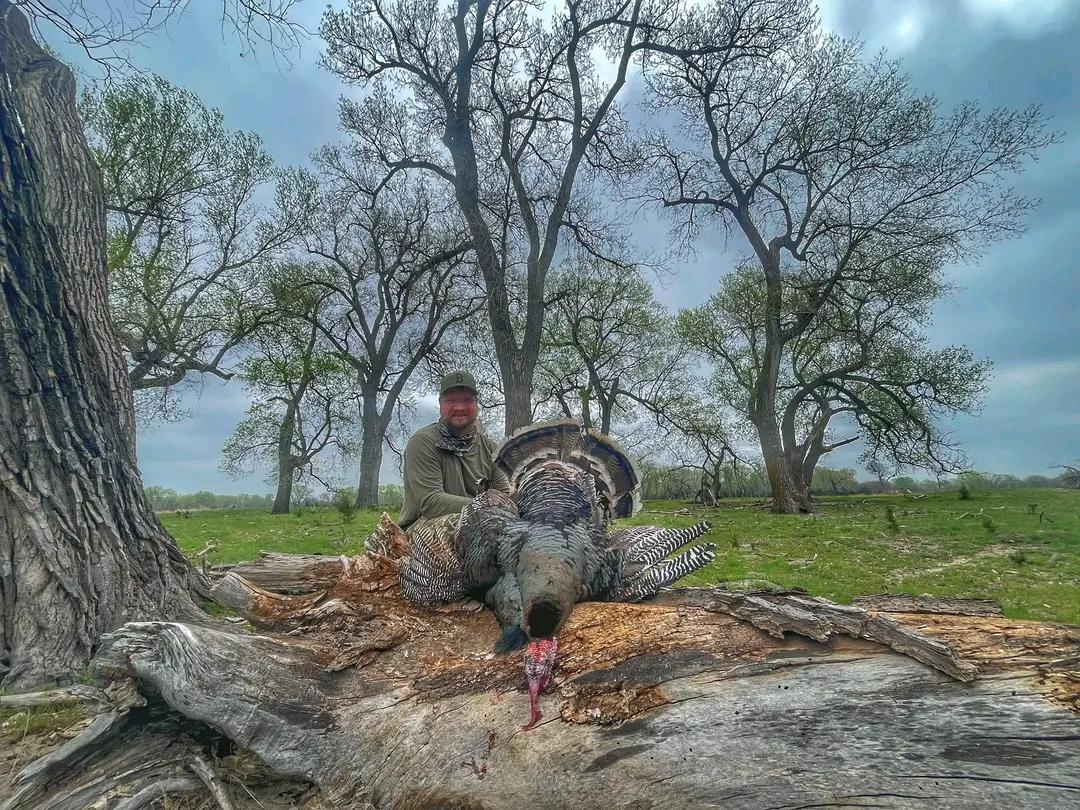 Spencer was able to connect on a fine archery gobbler on day 2 of his hunt!
#mistymorningoutfitters #mmo #itswhatwedo #ionlyrunwithkillers #murderersrow2point0