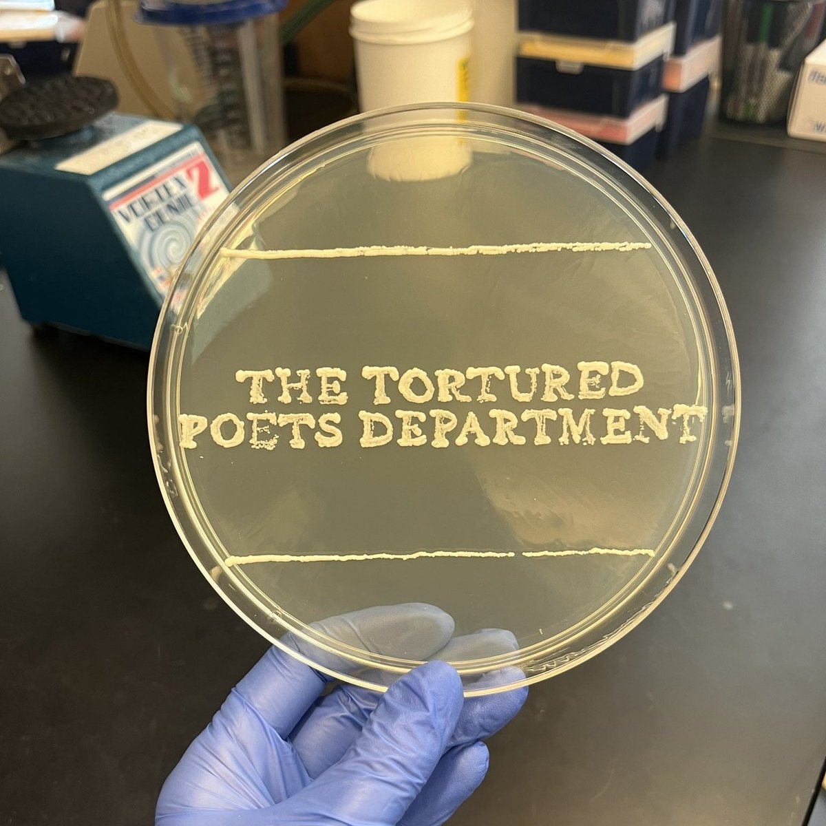 The Cultured Plates Department.

Inspiring #AgarArt in perfection, created by #PhD Student and #SwiftieInSTEM @chiara_masnovo.

👉🏻 superbugs.online/superblog/ttpd

#TSTTPD 🦠🧫🎶🎨👩🏼‍🎨