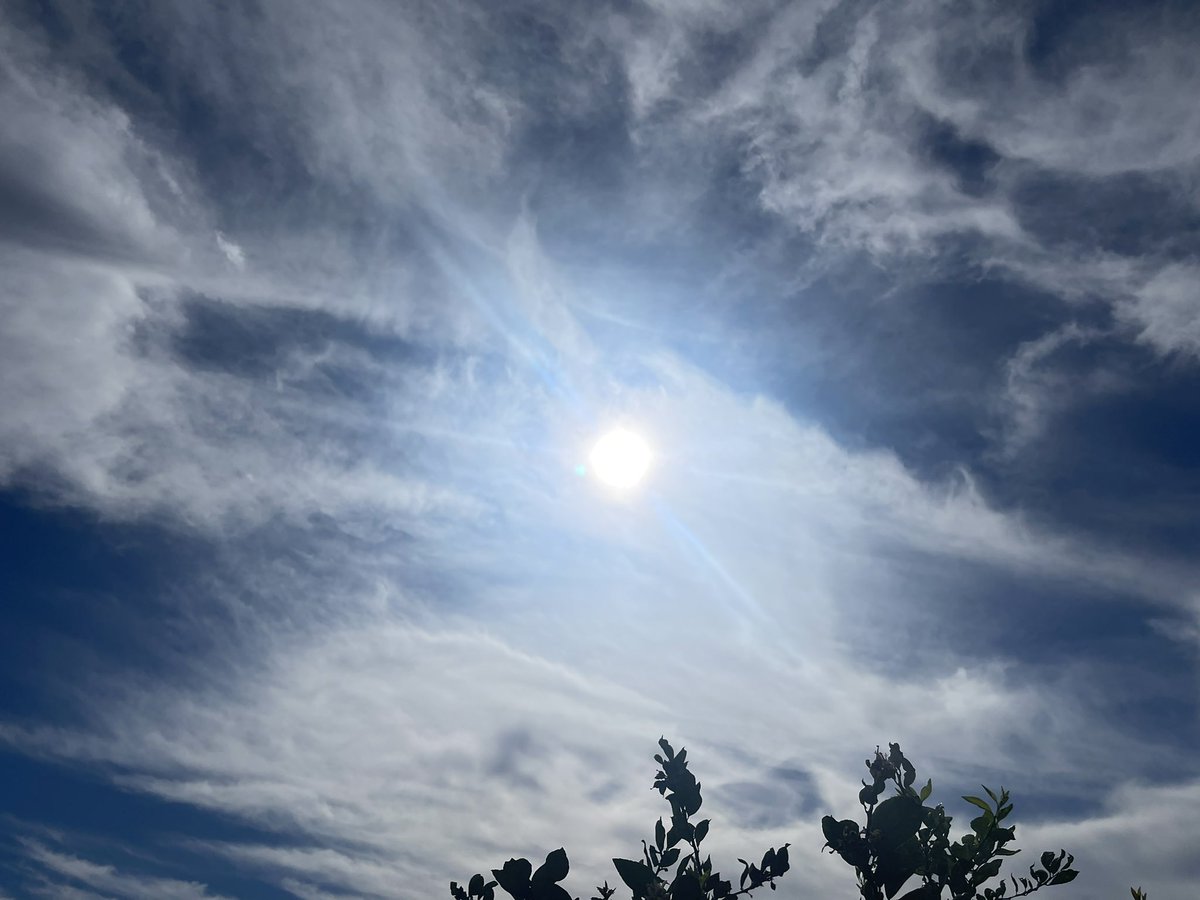 Well that was fast and out of nowhere! 1+ hours to complete the #skybastard s mission.  #research #GeoEngineering #WeatherModification #CrimesAgainstHumanity AZ 7:30am 4/24/24 #GodWins #NotTodaySatan