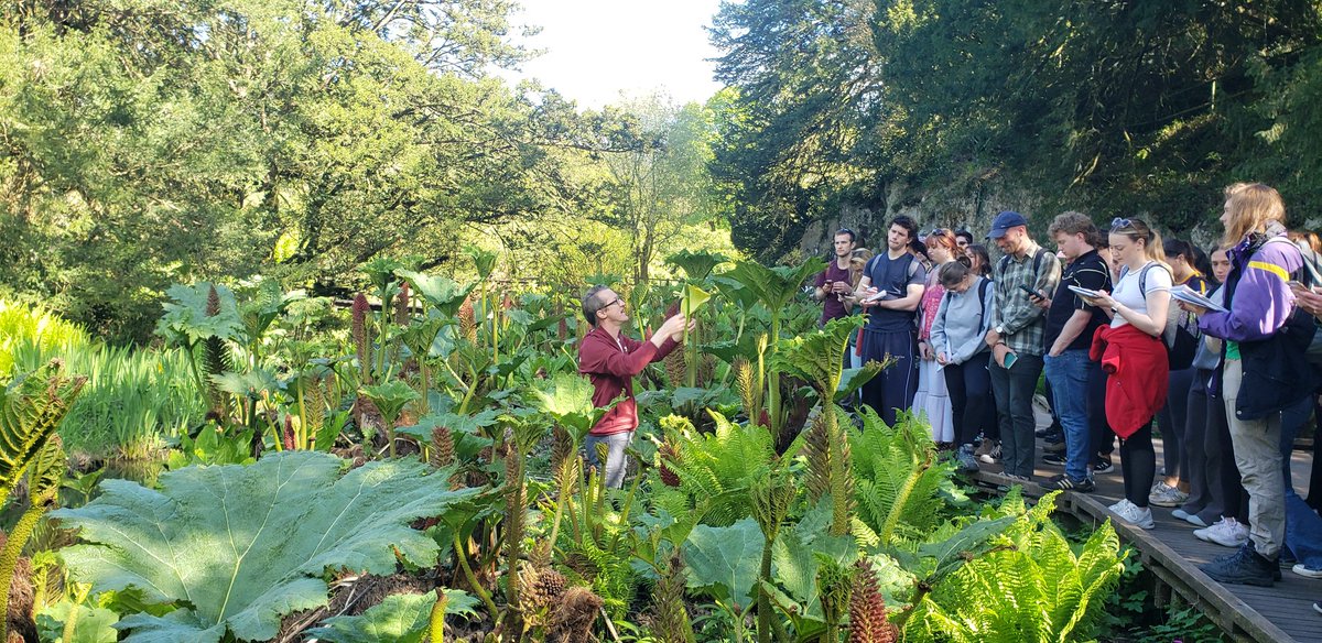 Stephen Hutton tweet media