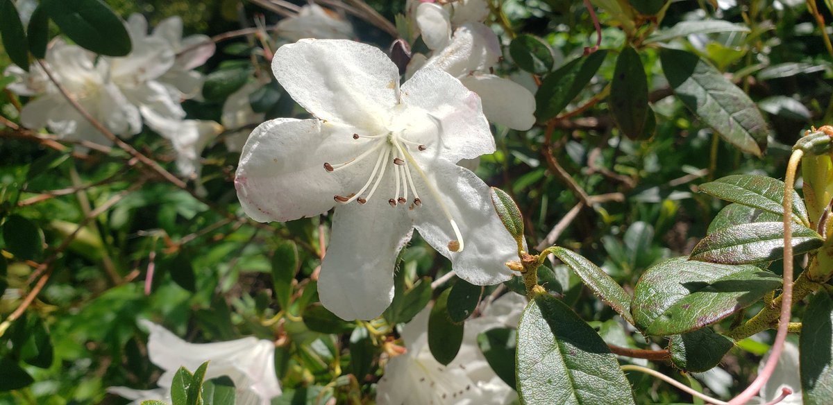 Stephen Hutton tweet media