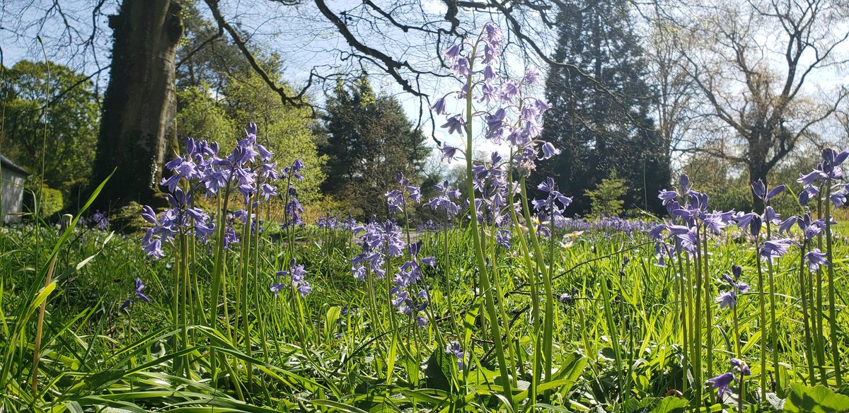 Stephen Hutton tweet media