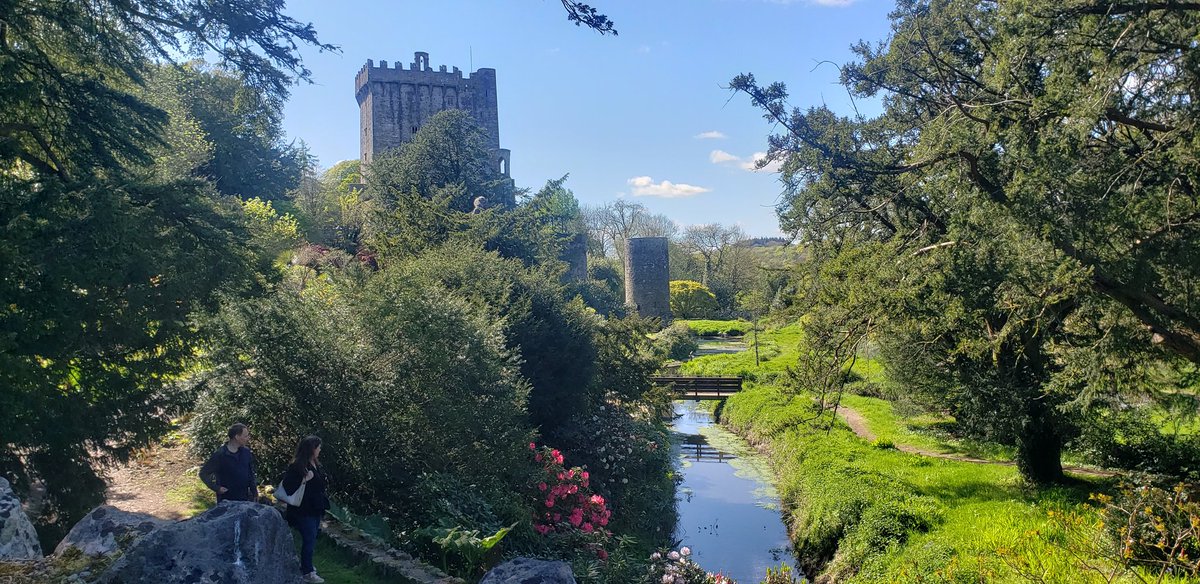 Glorious and very engaging couple of afternoons with @uccBEES 2nd year students refreshing their plant identification skills in Blarney Castle gardens with @markus_eichhorn @SEFSUCC #plants