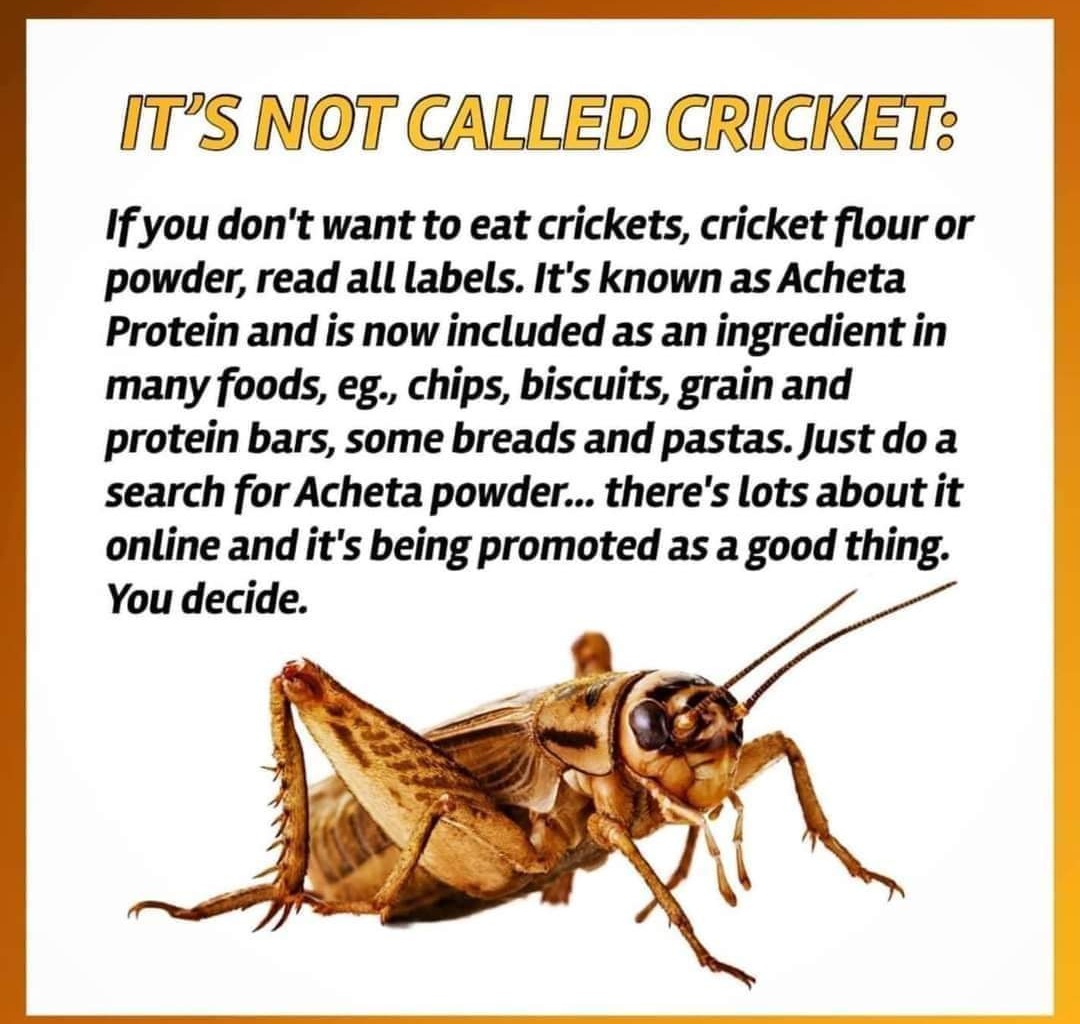 ITS NOT CALLED #CRICKET
#foodindustry #food