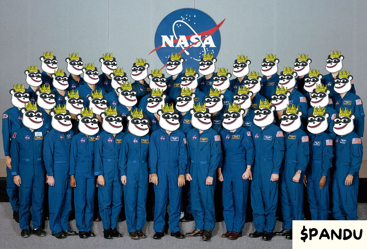 <a href="/mrpunkdoteth/">Mrpunk.eth</a> I diversified in $PANDU, The Pandu crew is ready!