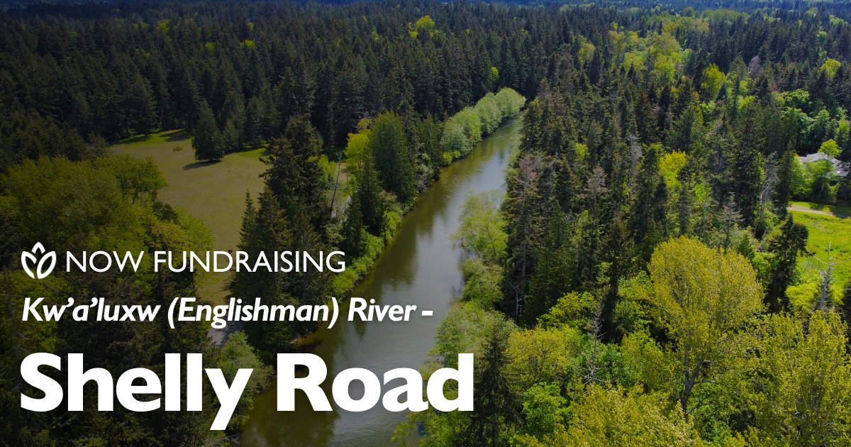 Big news 📣🌿Fundraising is now open to protect 13 acres (5.2 hectares) of precious wildlife habitat along the Kw’a’luxw (Englishman) River at 130 Shelly Road. Donate to protect this vital lifeline forever: naturetrust.bc.ca/our-projects/k…