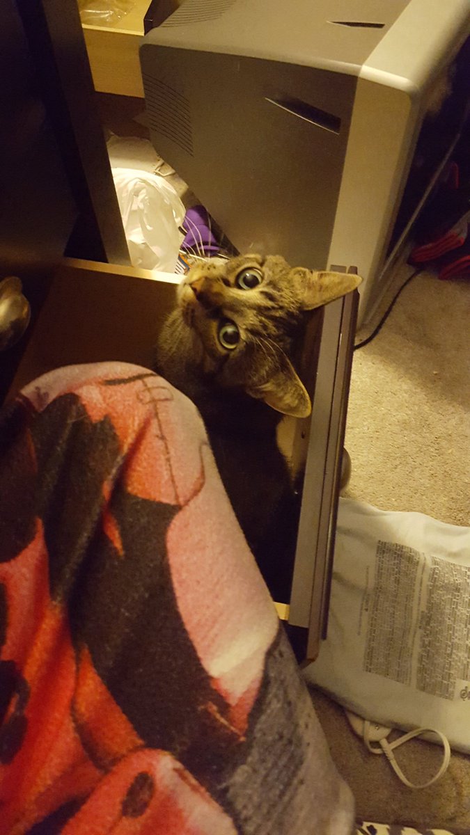 Coach Crucile tweet media