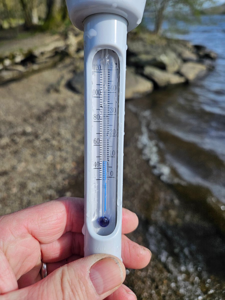 The water is getting warmer (a bit). Icy wind made it feel like February. 
#wildswimming 
#LakeDistrict