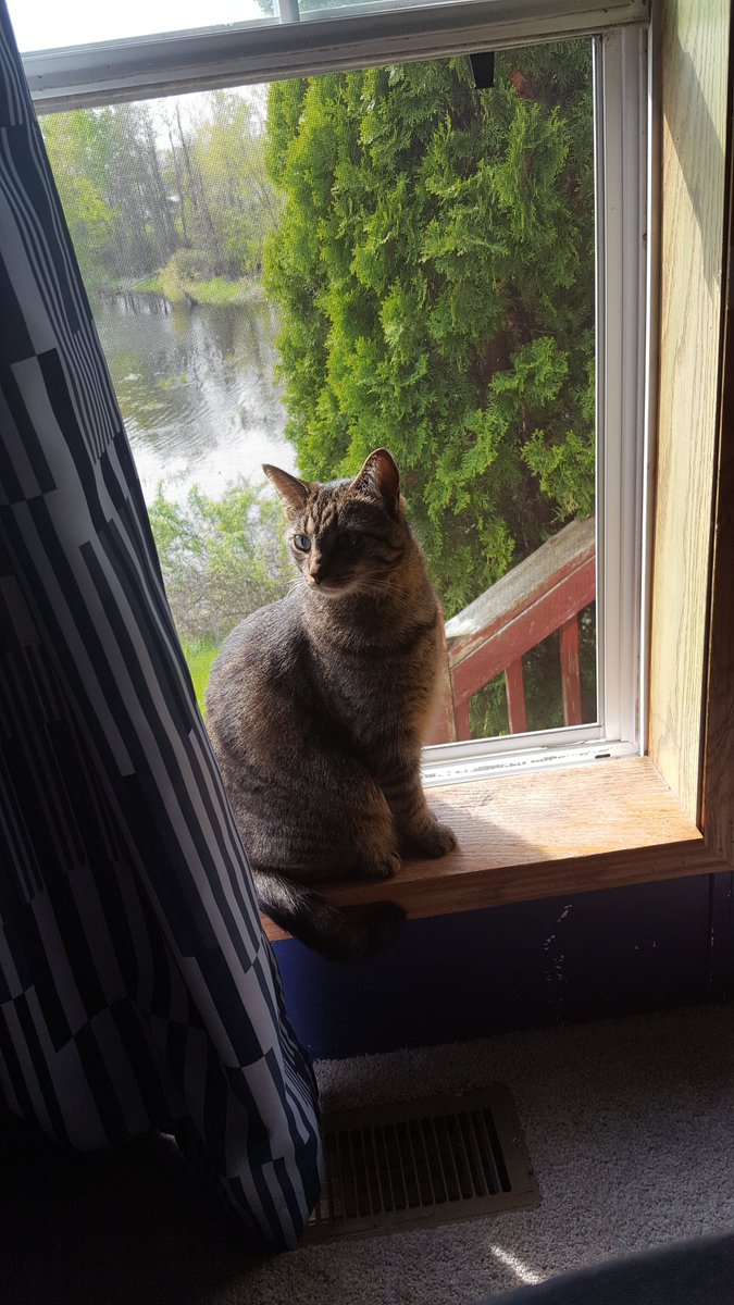 Coach Crucile tweet media