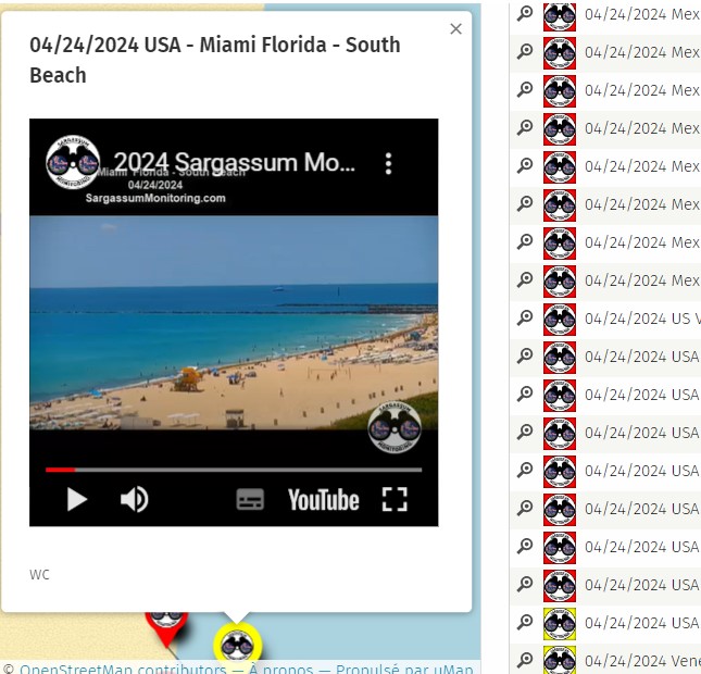 Apr. 24th 2024 #USA  #Miami  #Florida  #SouthBeach 

Forecast, News & Official Map 
here--> sargassummonitoring.com

#sargassum #sargasso #sargazo #sargasses #sargassummonitoring #SurveillancedesSargasses #MonitoreodeSargazo #Caraibes #Caribbean #Caribe #sargassumseaweedupdates