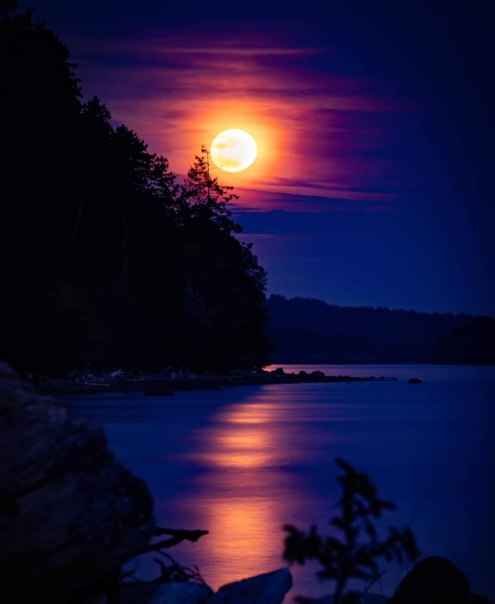 McKnight tweet media