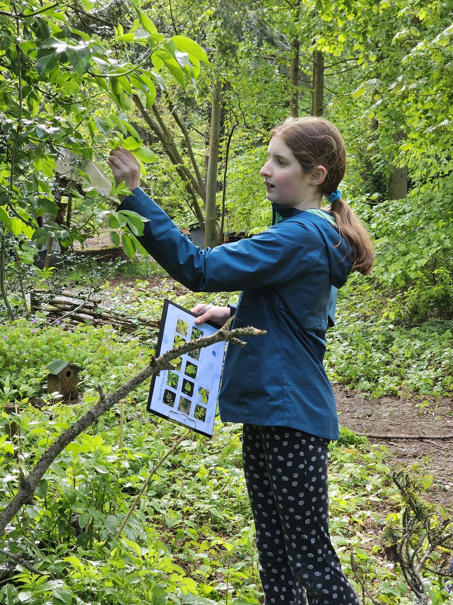 Charlie Phillips tweet media