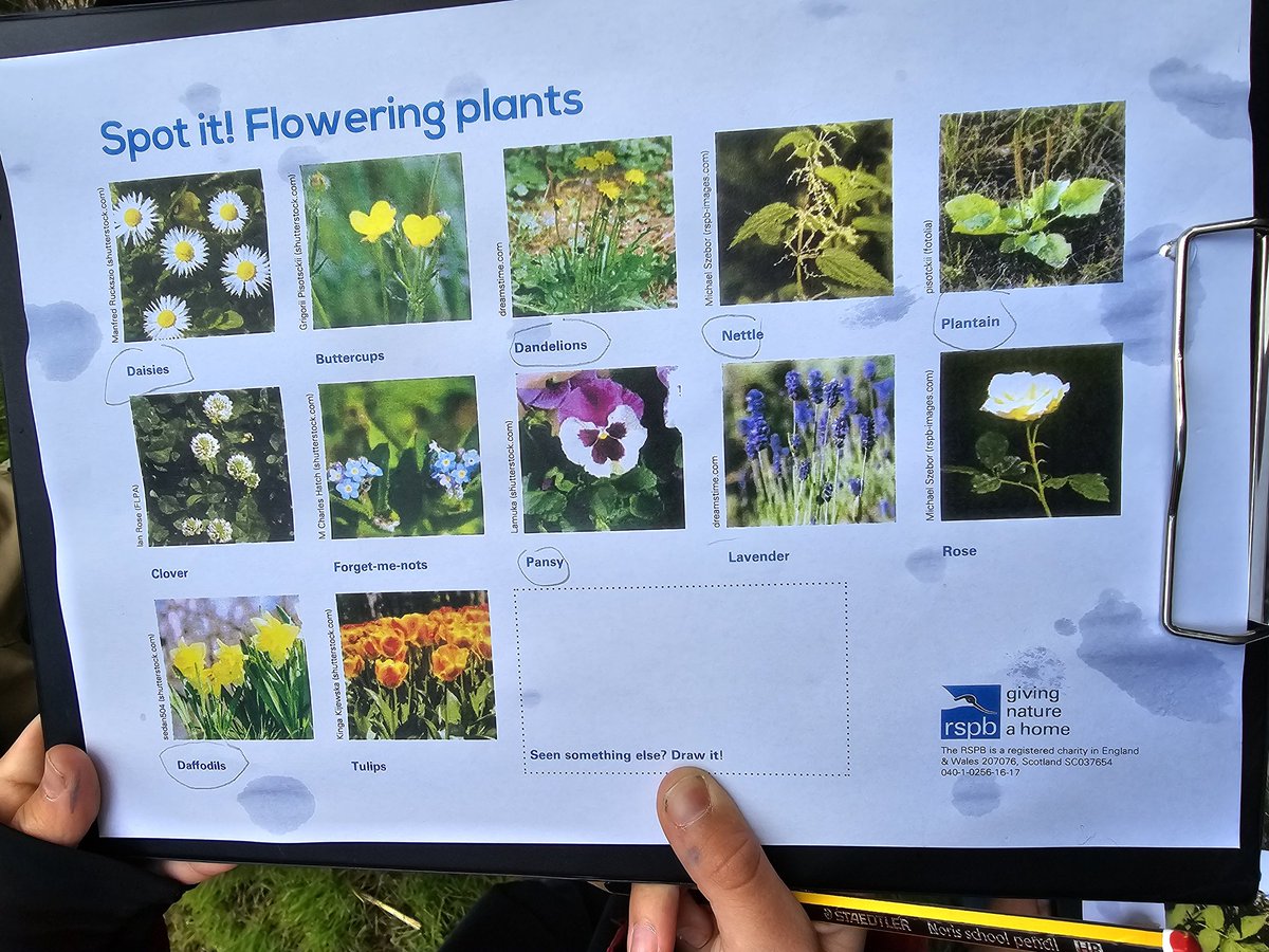 Charlie Phillips tweet media