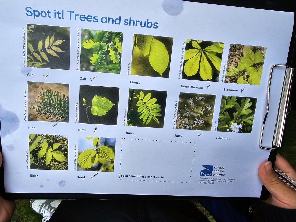 Charlie Phillips tweet media