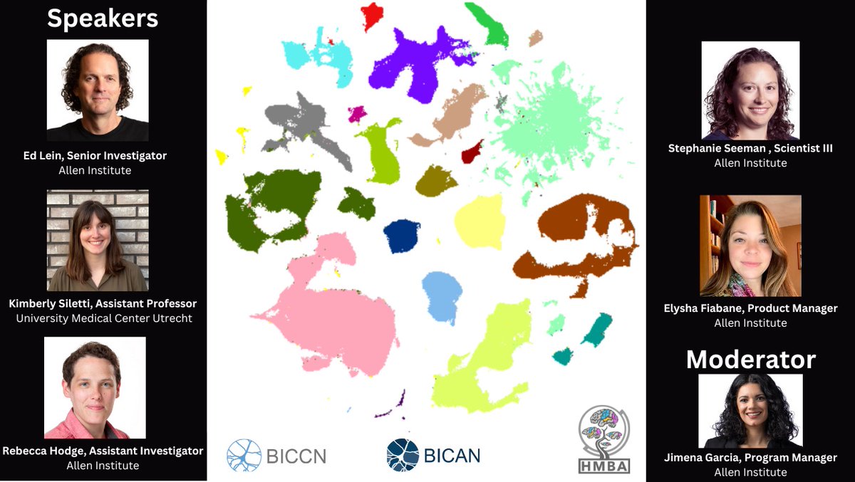 WEBINAR | Human and Non-Human Primate Brain Atlases and Tools Join us on June 11, 9am PDT for an exploration of the first draft of a brain-wide cell atlas of the adult human brain featuring scientists from the #studyBRAIN Initiative. 🎟️ RSVP: portal.brain-bican.org/event-details-…