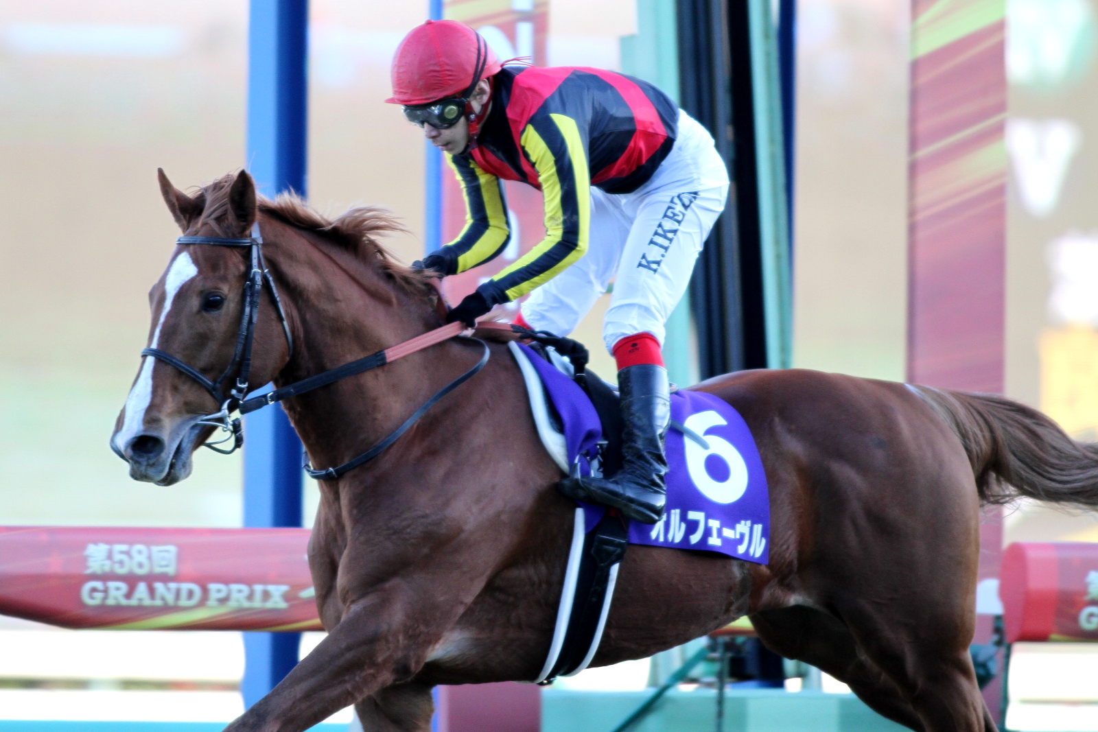 JRA-VAN公式 on X: 