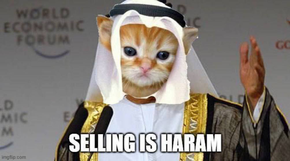ayylmaohunter1's tweet photo. @SkykingKitty @itsFoxCrypto @habibixyz_sol The team truly deserves 72 virgins, and Mia Khalifa as a bonus. WAGMI $habibi chads. https://t.co/it9qflorNW